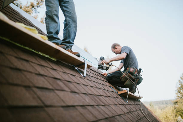 Best Roof Gutter Cleaning  in Orange Cove, CA
